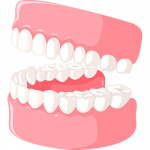 Костные стоматологические дефекты: решение проблемы от ученых СамГМУ